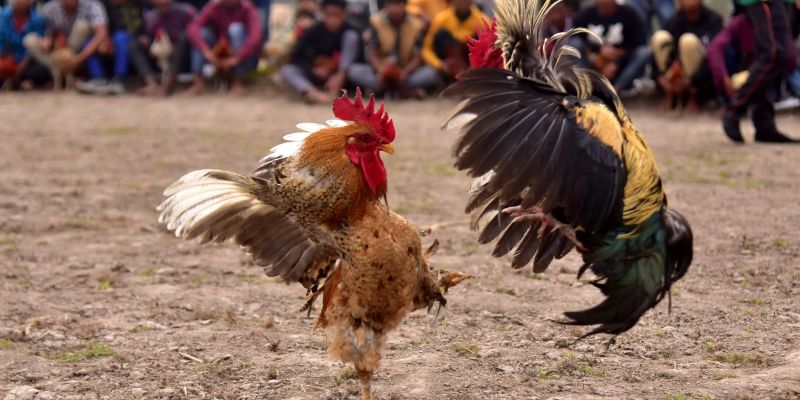 Tích Luỹ Kinh Nghiệm